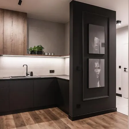 Lägenhet Stylowy W Centrum Poznania