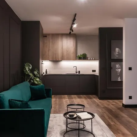 Lägenhet Stylowy W Centrum Poznania Poznań