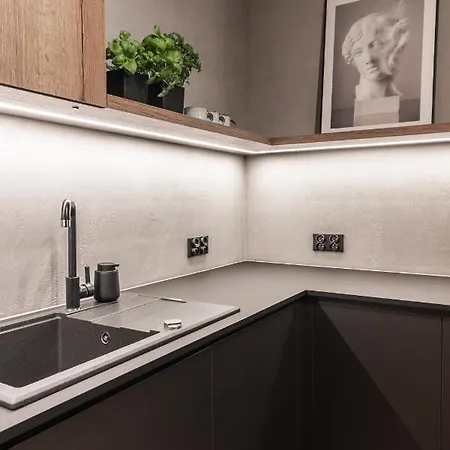 Stylowy W Centrum Poznania Lejlighed *