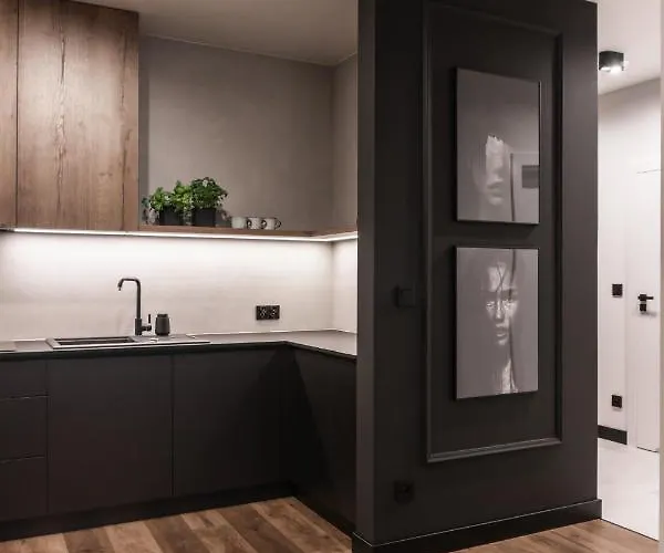 아파트 Stylowy W Centrum Poznania